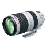 Canon 100-400mm F4.5-5.6 IS MKII image here